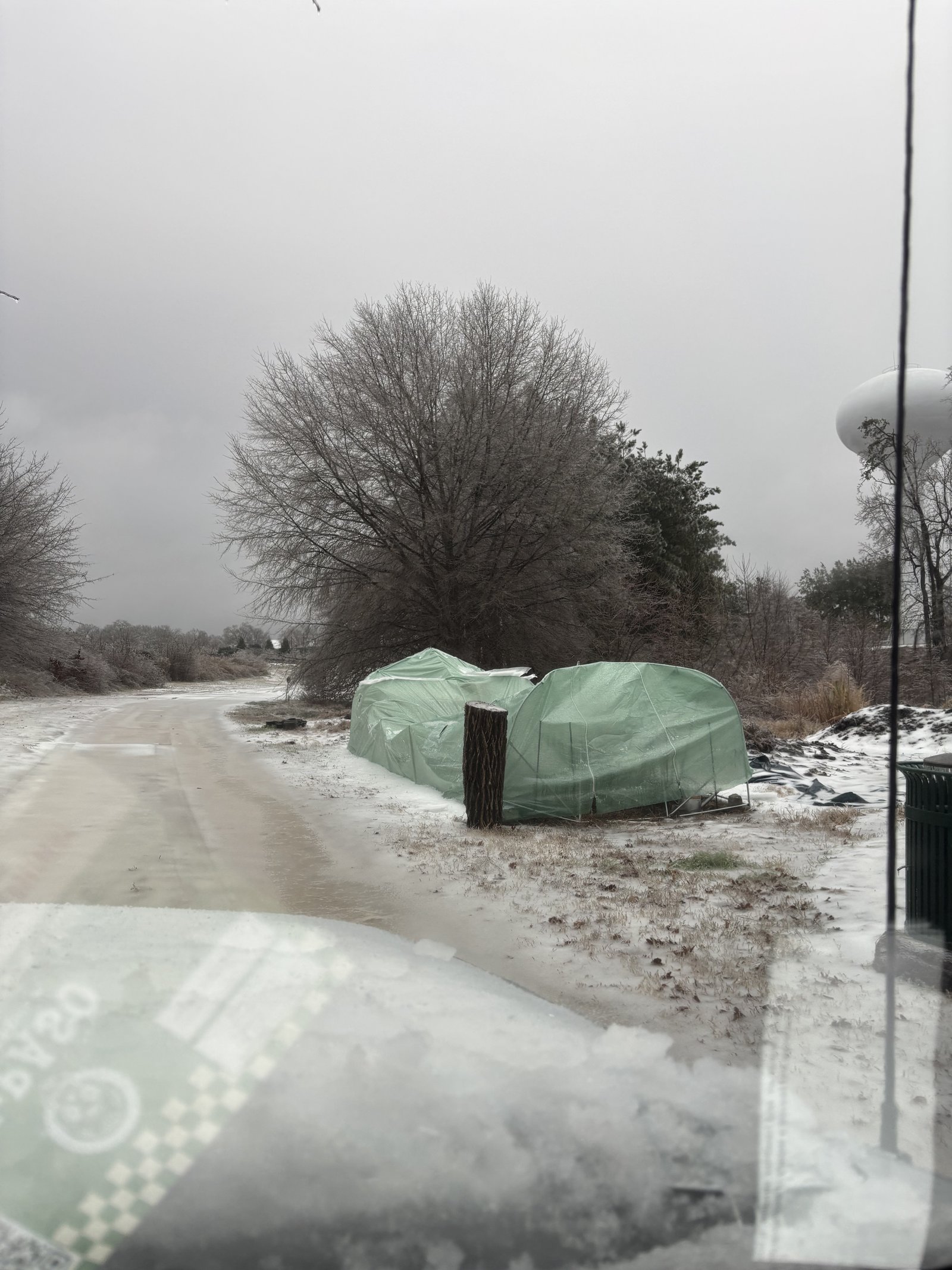 The Hunnicutt plot, bare ground in winter