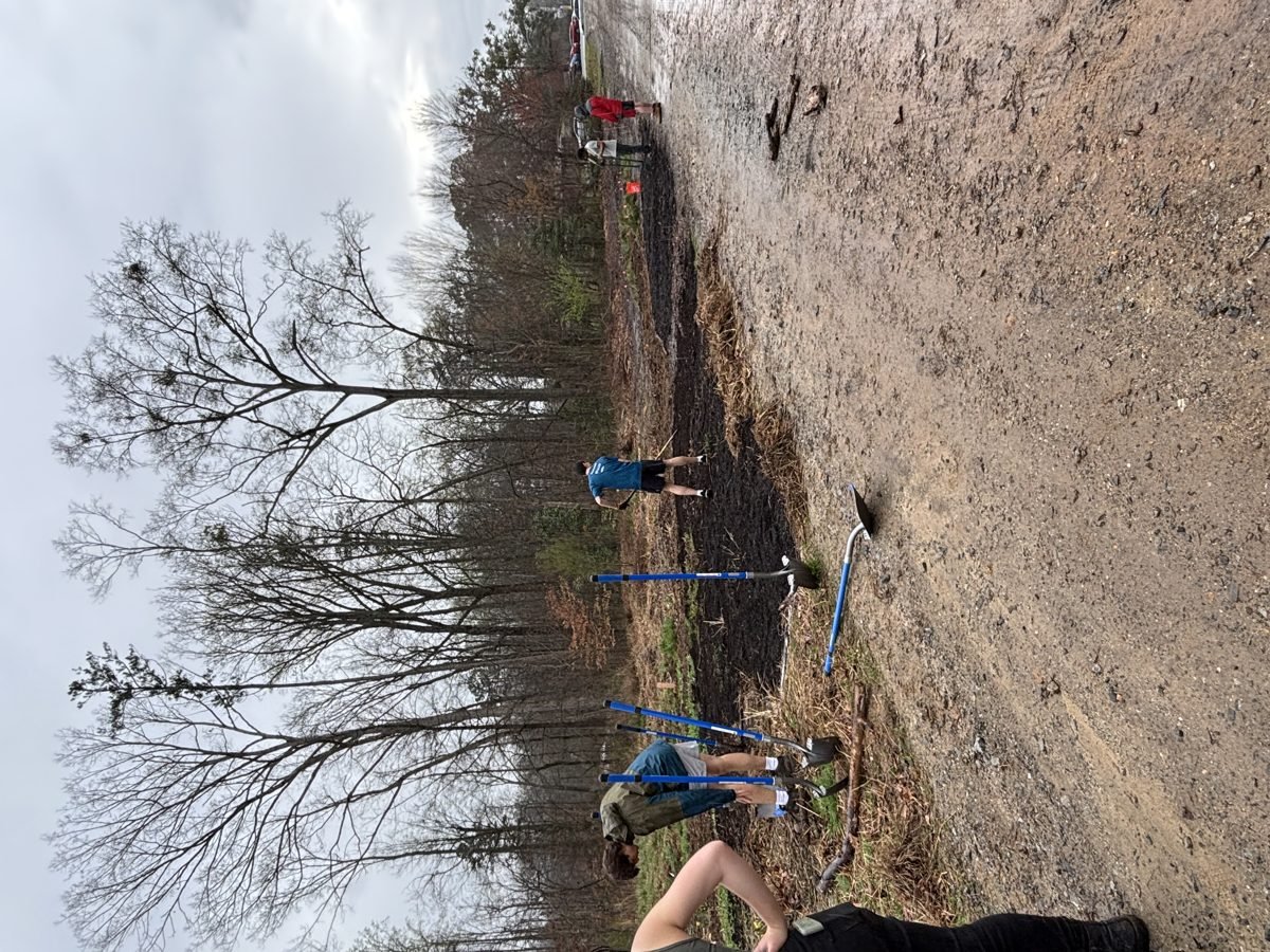 Workday at Hunnicutt Food Forest