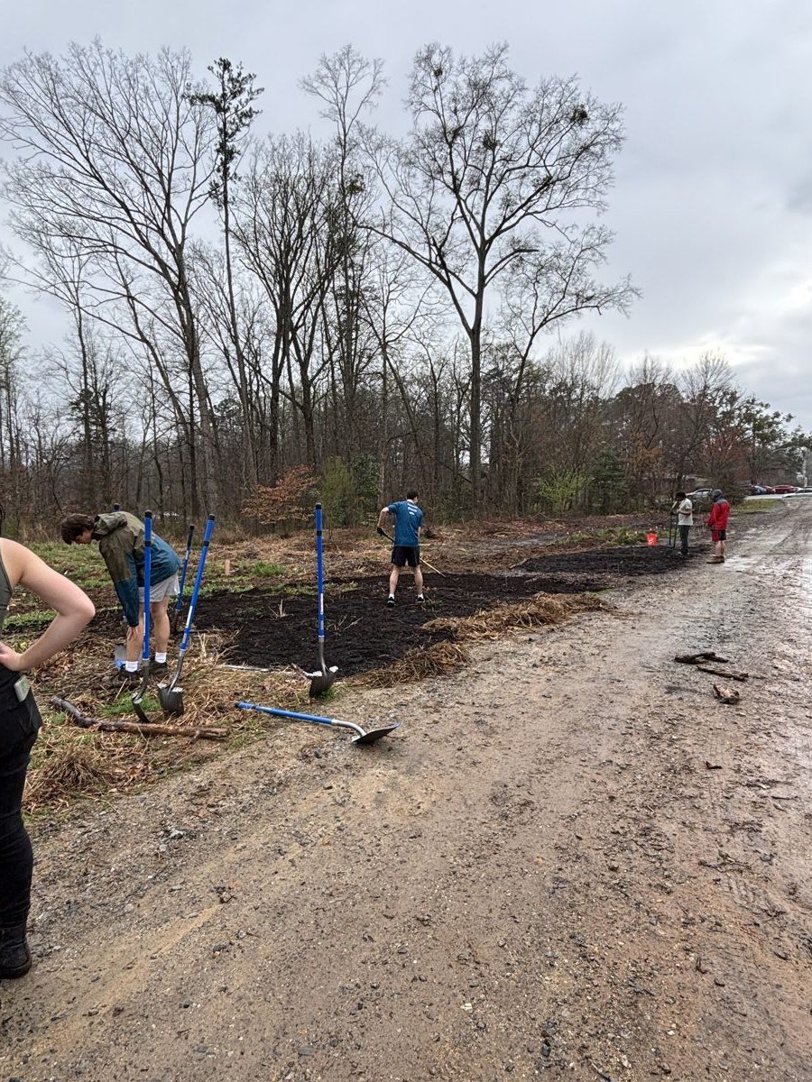 Students mulching new beds along the drive at a Hunnicutt workday