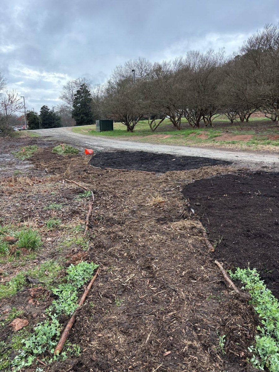 Freshly mulched beds along the drive, crepe myrtles behind