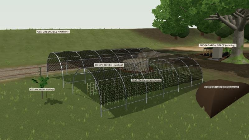 The two hoop houses, snap peas in the south one