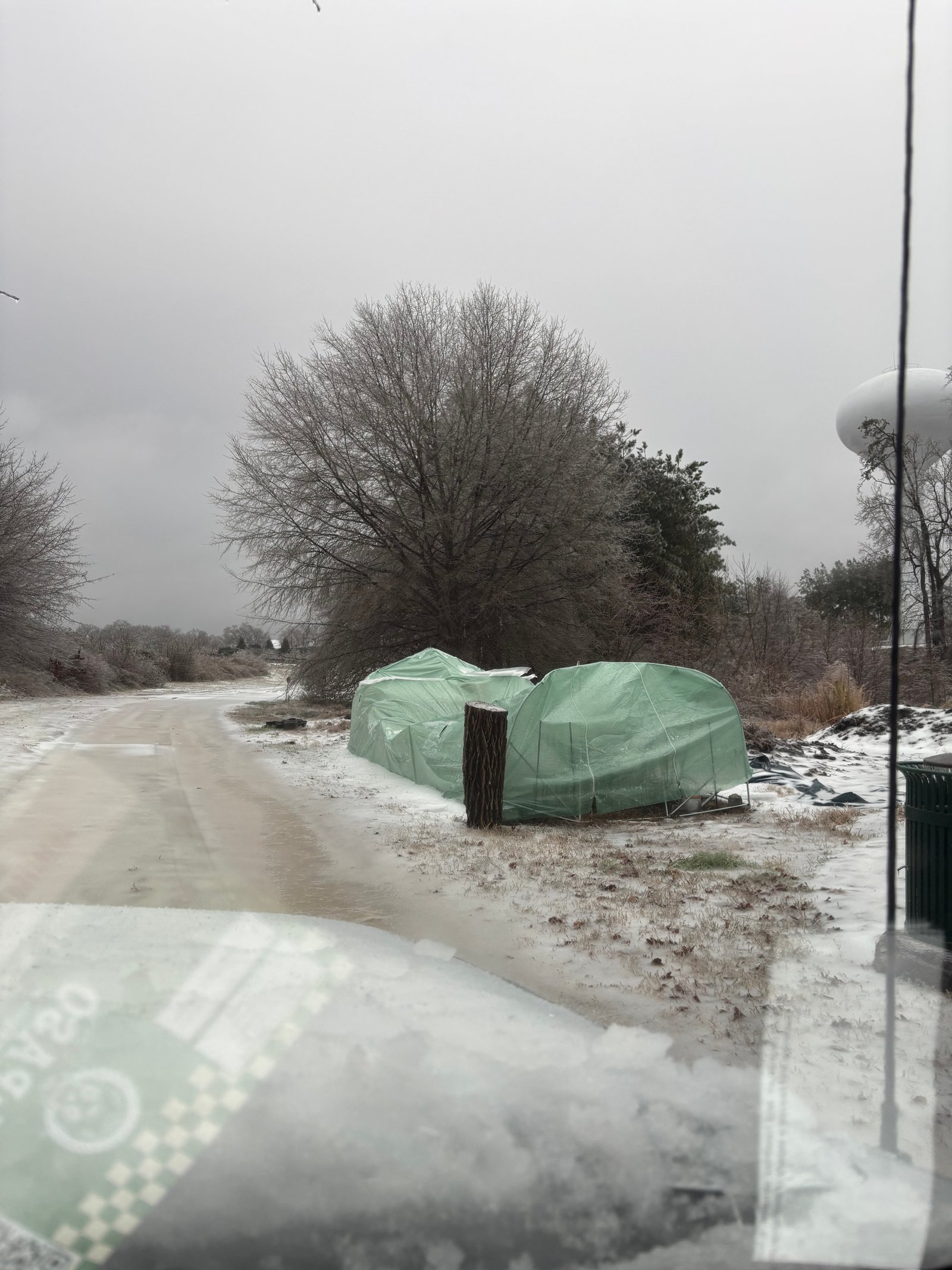 Hunnicutt Creek restoration site